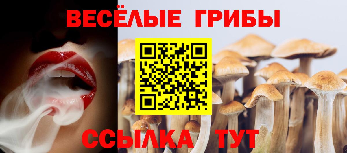 Троицк  Псилоцибиновые грибы мухоморы  Вход с VPN 